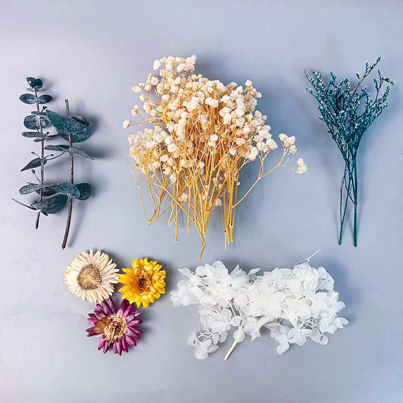 Craft Embellishment - 1 упаковка, набор различных сушеных цветов