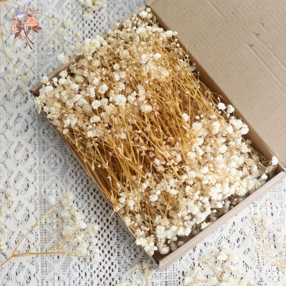 100 шт. миниатюрных сушеных цв – обзор и цена Craft Embellishment