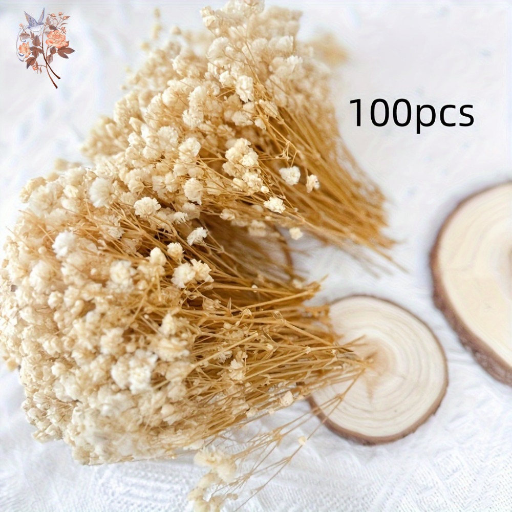100 шт. миниатюрных сушеных цв – обзор и цена Craft Embellishment