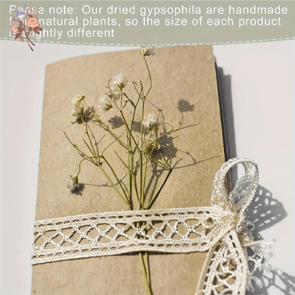 100 шт. миниатюрных сушеных цв – обзор и цена Craft Embellishment